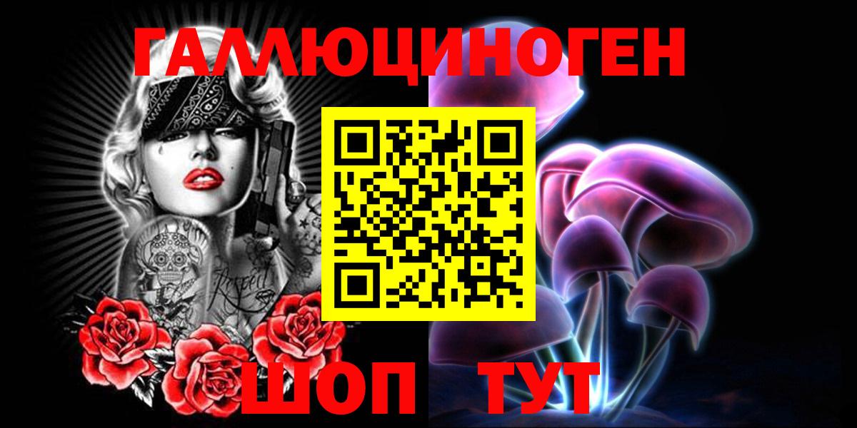 Дубна  Галлюциногенные грибы Psilocybine cubensis  Вход с VPN 